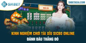 Kinh nghiệm chơi Tài Xỉu Sicbo online đánh đâu thắng đó
