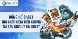 Đá Gà SHBET - Hướng dẫn cách chơi game đá gà cho tân binh
