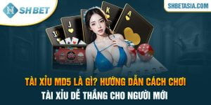 Tài xỉu MD5 là gì? Cách chơi tài xỉu dễ thắng cho người mới