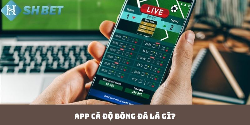 App cá độ bóng đá là gì?