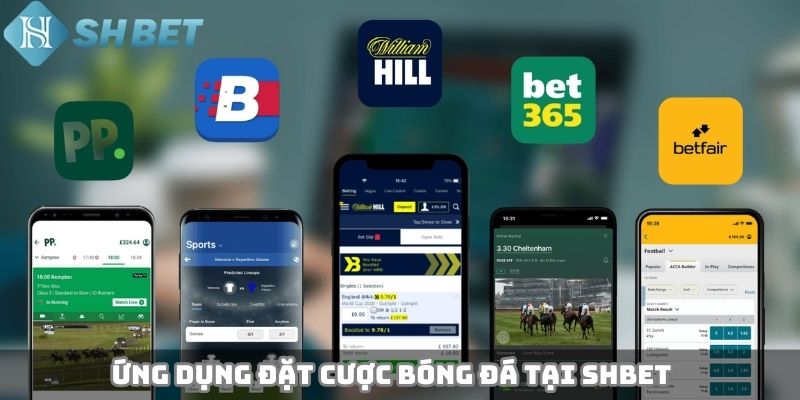 Ứng dụng đặt cược bóng đá tại SHBET