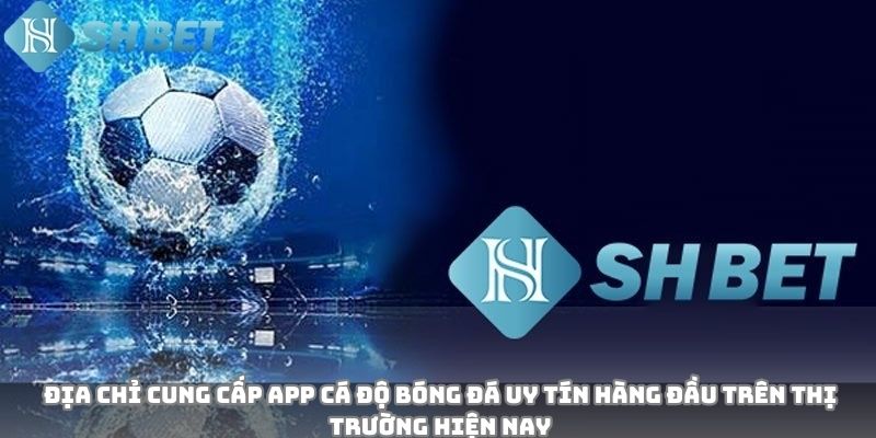 Địa chỉ cung cấp app cá độ bóng đá uy tín hàng đầu trên thị trường hiện nay