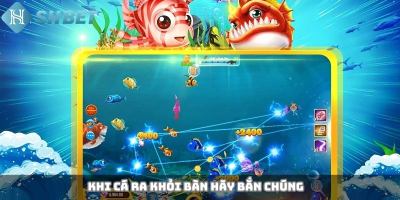 Khi cá ra khỏi bàn hãy bắn chúng 