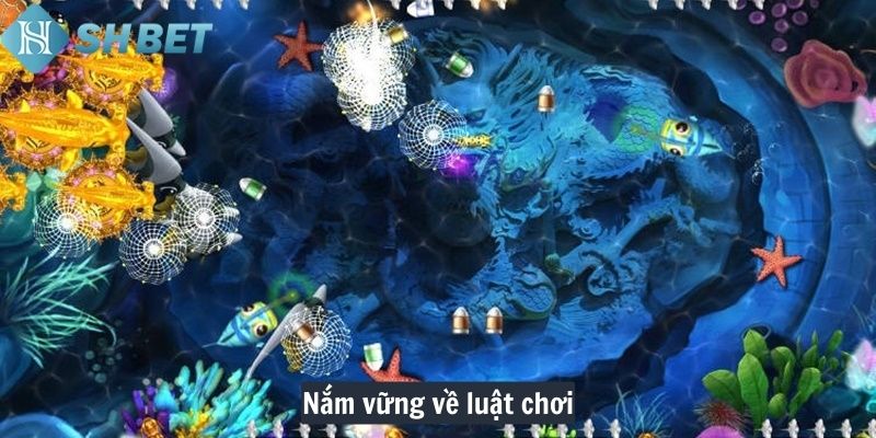 Nắm vững về luật chơi