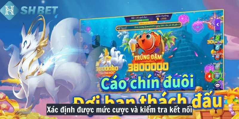 Xác định được mức cược và kiểm tra kết nối