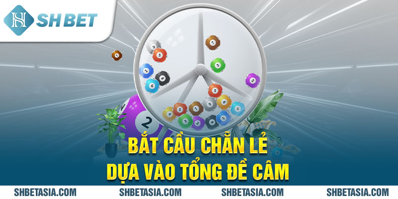 Bắt cầu chẵn lẻ dựa vào tổng đề câm