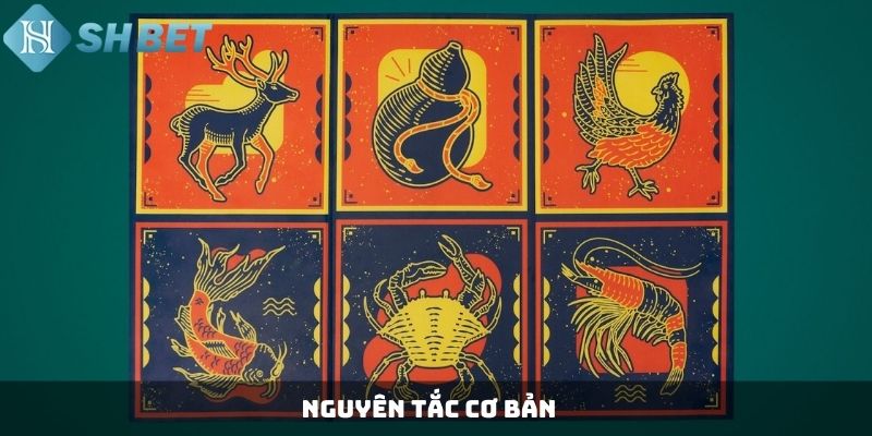 Nguyên tắc cơ bản