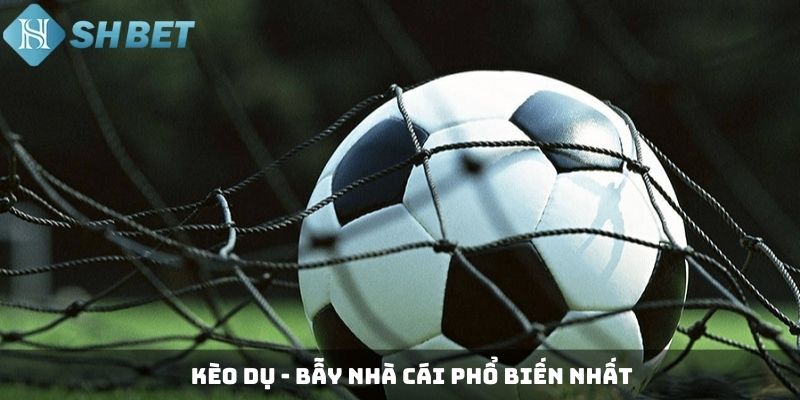 Kèo dụ - Bẫy nhà cái phổ biến nhất