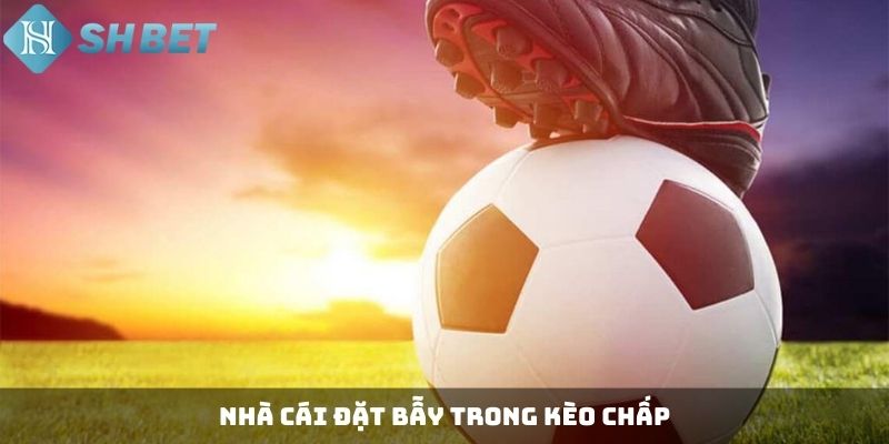 Nhà cái đặt bẫy trong kèo chấp