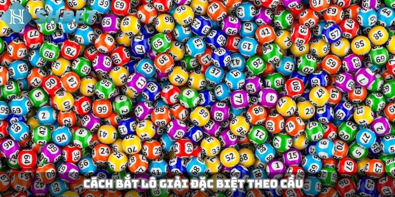 Cách bắt lô giải đặc biệt theo cầu