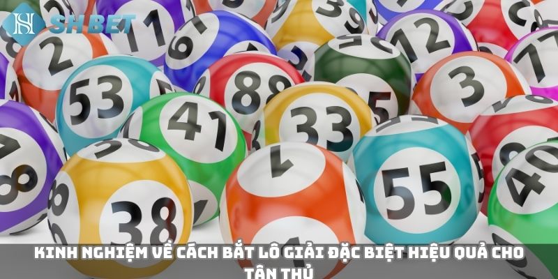 Kinh nghiệm về cách bắt lô giải đặc biệt hiệu quả cho tân thủ