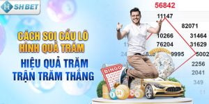 Cách soi cầu lô hình quả trám hiệu quả trăm trận trăm thắng