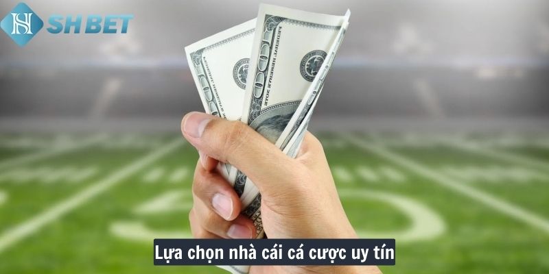 Lựa chọn nhà cái cá cược uy tín