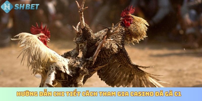 Hướng dẫn chi tiết cách tham gia Casino đá gà C1