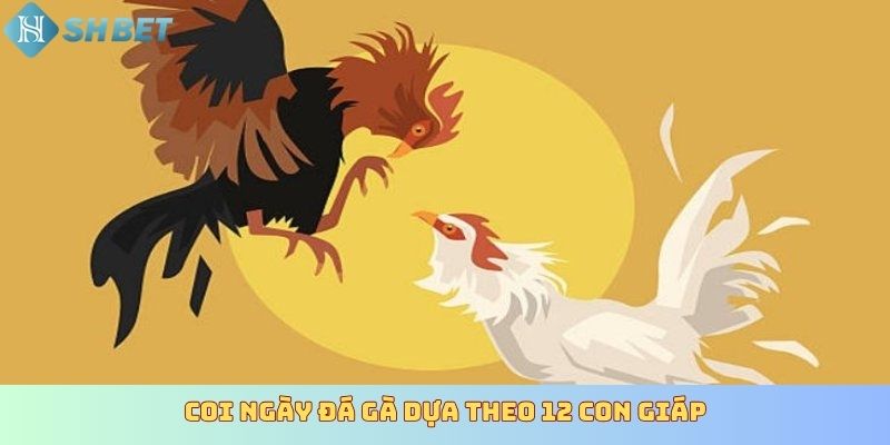 Coi ngày đá gà dựa theo 12 con giáp