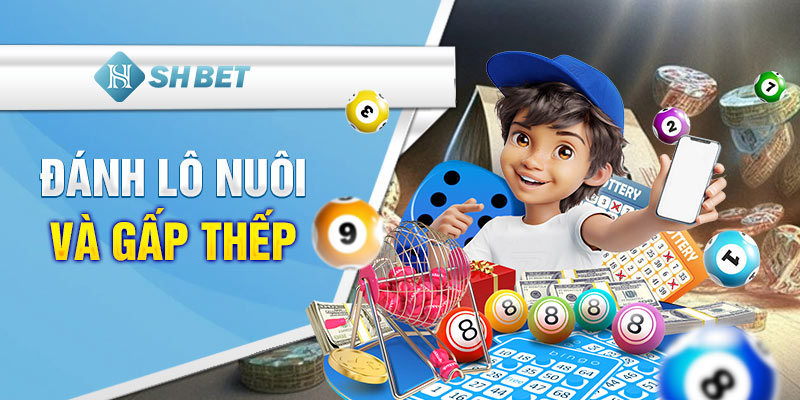 Đánh lô nuôi và gấp thếp