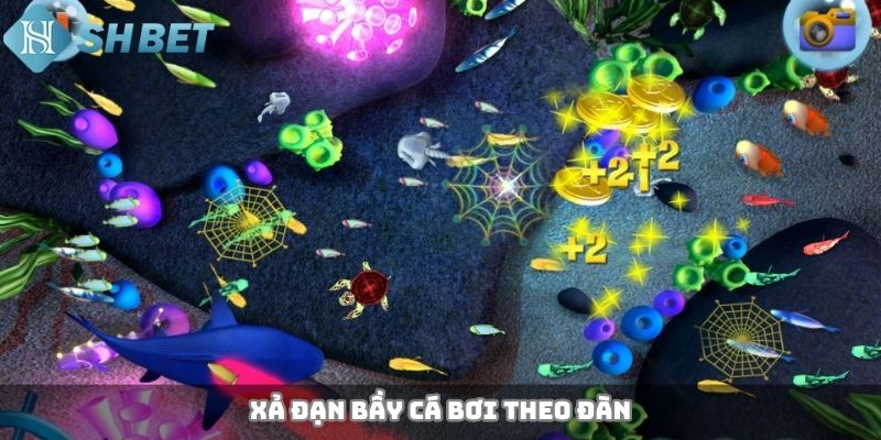 Xả đạn bầy cá bơi theo đàn