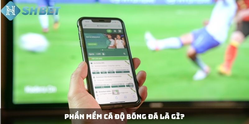 Phần mềm cá độ bóng đá là gì?
