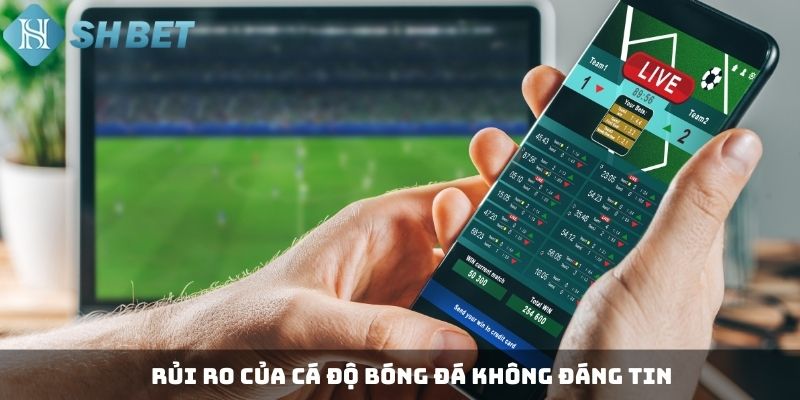 Rủi ro của cá độ bóng đá không đáng tin
