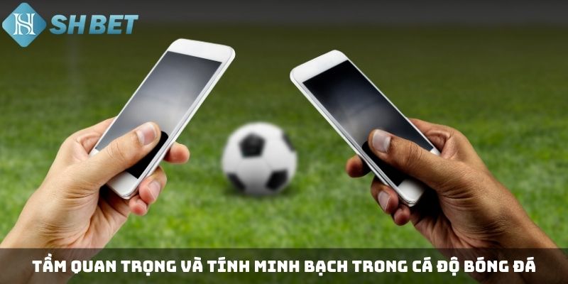 Tầm quan trọng và tính minh bạch trong cá độ bóng đá