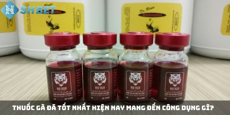 Thuốc gà đá tốt nhất hiện nay mang đến công dụng gì?