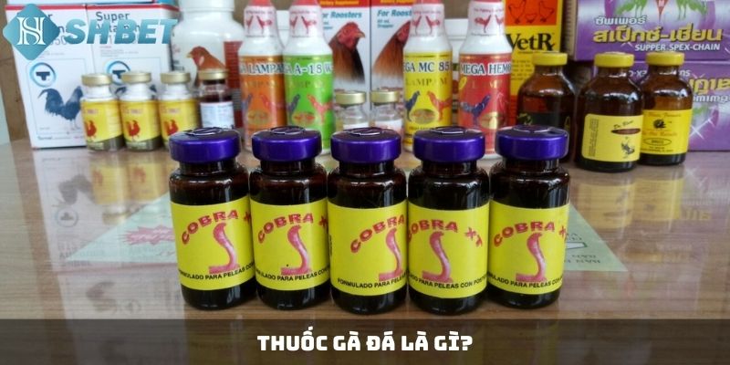 Thuốc gà đá là gì?