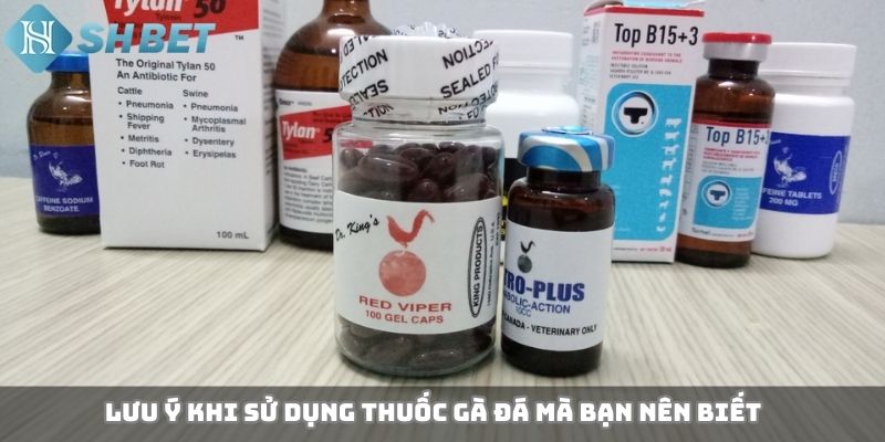 Lưu ý khi sử dụng thuốc gà đá mà bạn nên biết