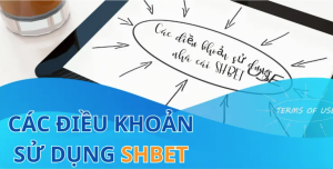 Quy định nhận khuyến mãi ưu đãi tại SHBET
