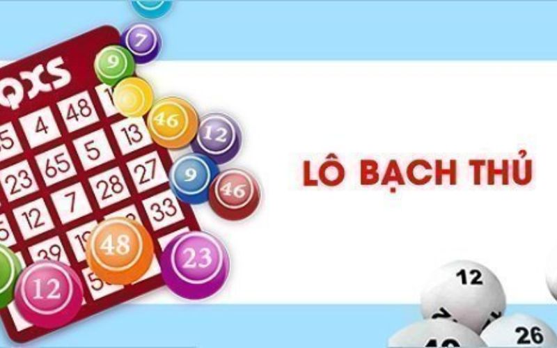 Phương pháp nuôi bạch thủ lô bất bại dành cho bạn