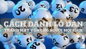 Những lợi ích của việc sử dụng lô dàn đánh quanh năm là gì?